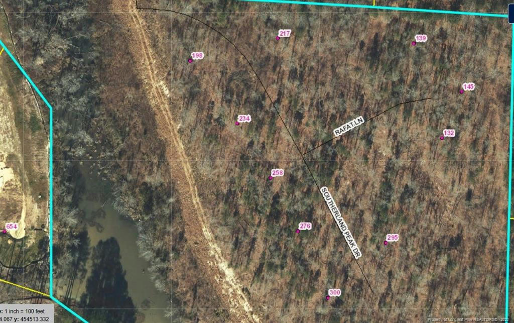 217 SOUTHERLAND PEAK DR LOT 12, RAEFORD, NC 28376, photo 1 of 9