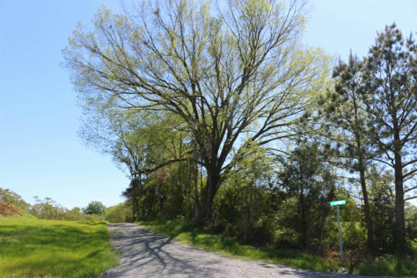 171 DAIRYMONT DR, PITTSBORO, NC 27312 - Image 1