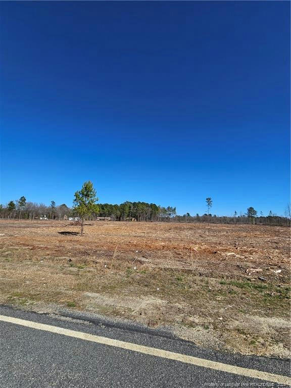 TRACT 9 CLARK ROAD, MAXTON, NC 28364, photo 1 of 3