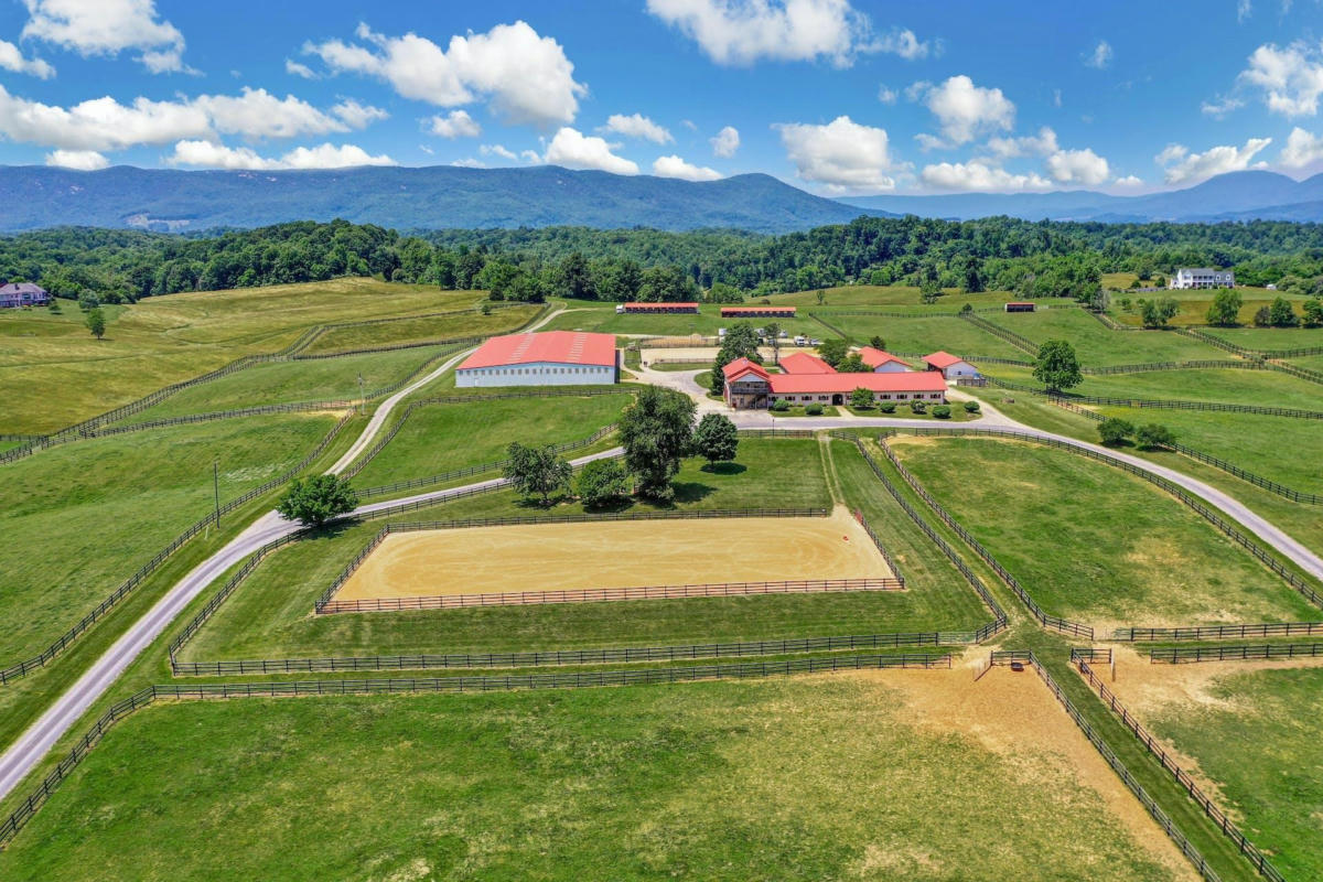 100 EQUUS LOOP, NATURAL BRIDGE, VA 24578, photo 1 of 78