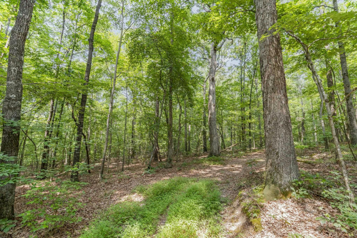 01 BARTLEY HOLLEMAN ROAD, NEW HILL, NC 27562, photo 1 of 13