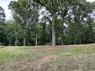11486A NC 222 HWY W, MIDDLESEX, NC 27557, photo 3 of 36