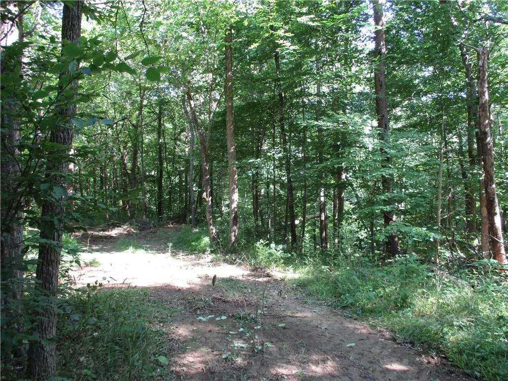 0000 DURHAM STREET EXTENSION, BURLINGTON, NC 27217, photo 1