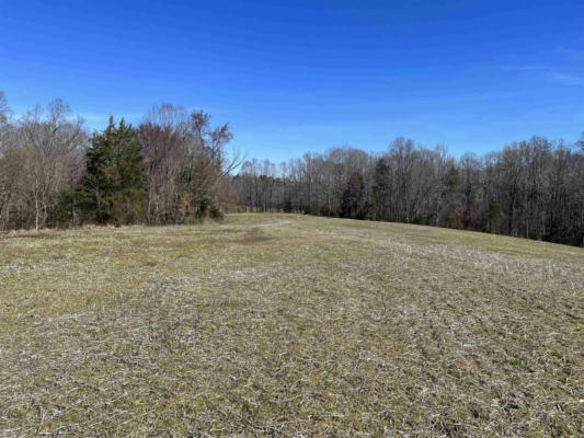 TBD 2 FRANK WHITFIELD ROAD, HURDLE MILLS, NC 27541, photo 4 of 4