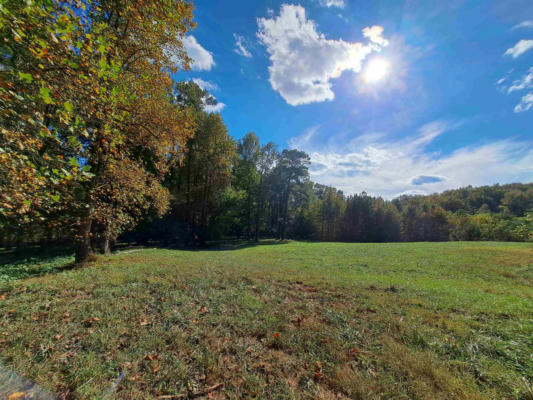 TBD BOWERS STORE ROAD, SILER CITY, NC 27344 - Image 1
