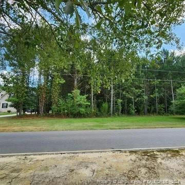 4220 FINAL APPROACH DR, EASTOVER, NC 28312, photo 5 of 5